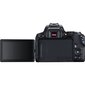 Canon EOS 250D Body (Black) - Demonstracinis (expo) цена и информация | Fotoaparaadid | hansapost.ee