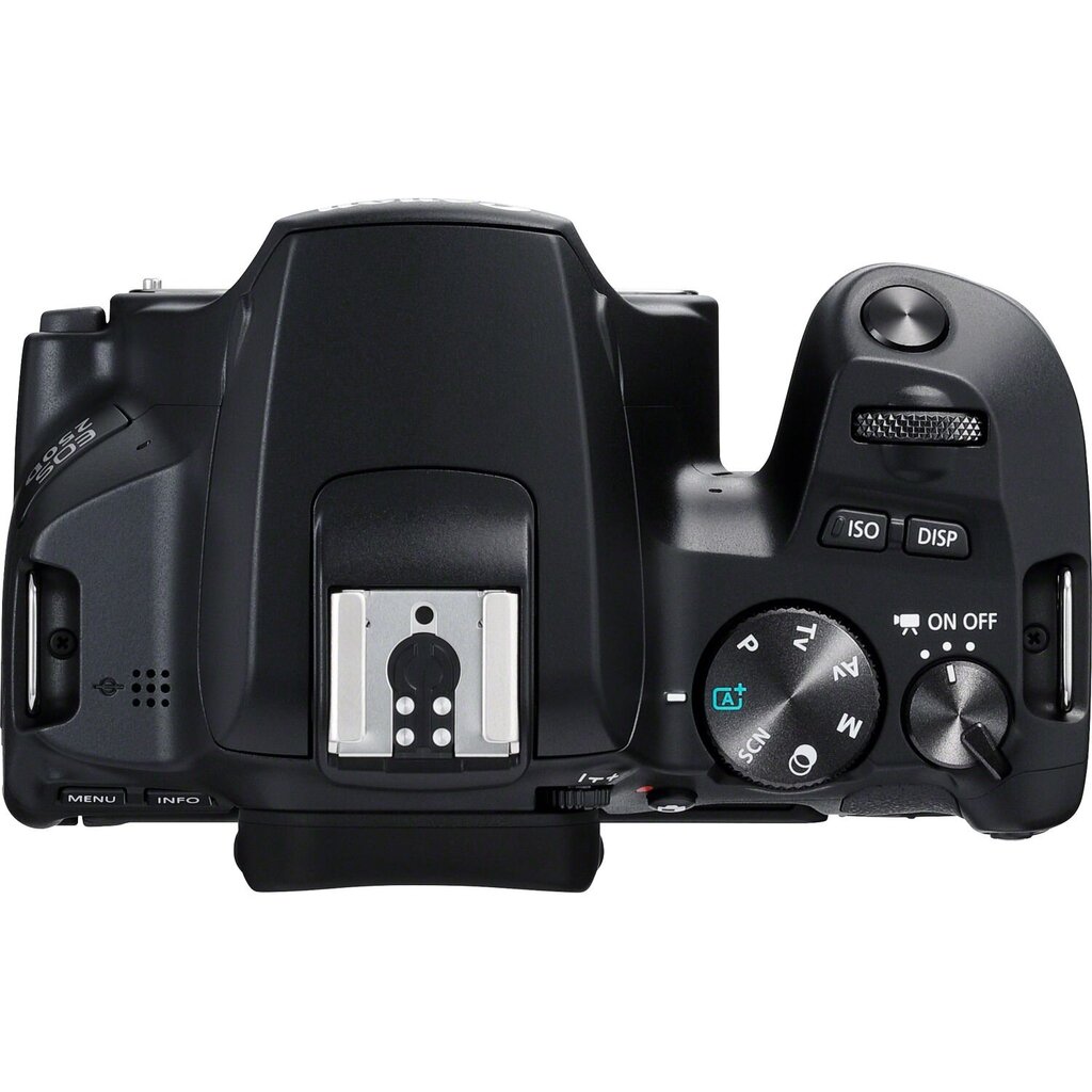 Canon EOS 250D Body (Black) - Demonstracinis (expo) цена и информация | Fotoaparaadid | hansapost.ee