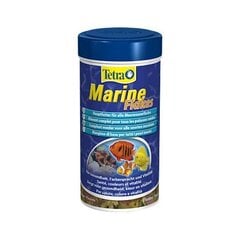 Toit merekaladele Tetra Marine Flakes, 250 ml price and information | Kalade toit | hansapost.ee