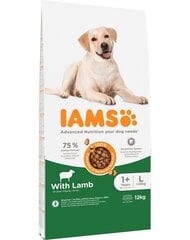 Iams for Vitality täiskasvanud suurt tõugu koertele lambalihaga, 12 kg price and information | Koerte kuivtoit ja krõbinad | hansapost.ee