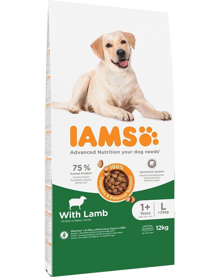 Iams for Vitality täiskasvanud suurt tõugu koertele lambalihaga, 12 kg hind ja info | Koerte kuivtoit ja krõbinad | hansapost.ee