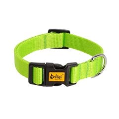 Koera kaelarihm Dingo Energy, roheline, erinevad suurused price and information | Dog collars and braces | hansapost.ee