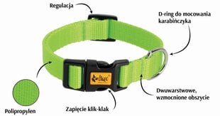 Koera kaelarihm Dingo Energy, roheline, erinevad suurused price and information | Dog collars and braces | hansapost.ee