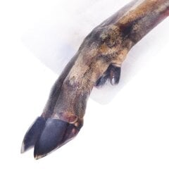 Petmex Deer hoof Оленье копыто, 1 шт. цена и информация | Лакомства для собак | hansapost.ee