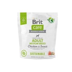 Brit Care Dog Sustainable täiskasvanud keskmist tõugu koertele kana ja putukatega, 1 kg price and information | Dry dog food and crisps | hansapost.ee