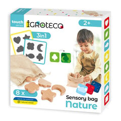 Meelemäng Loodus Igroteco price and information | Educational children's toys | hansapost.ee