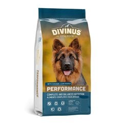 Divinus Performance for German Shepherd, 10 kg hind ja info | Koerte kuivtoit ja krõbinad | hansapost.ee