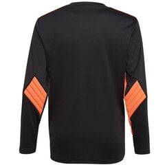 Poiste sportlik dressipluus Adidas Squadra 21 GoalKeeper Jersey Youth Jr GK9806 hind ja info | Kampsunid, vestid ja jakid poistele | hansapost.ee