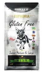 Biofeed Euphoria Gluten Free для щенков средних и крупных пород, с ягнятиной, 2 кг цена и информация | Сухой корм для собак | hansapost.ee