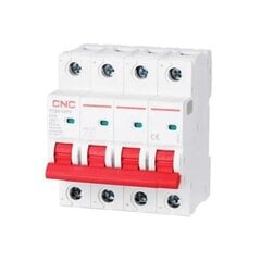 DC Miniature Circuit Breaker, 4P, 63A, Cat.A, 1000VDC, 6kA цена и информация | Выключатели, розетки | hansapost.ee