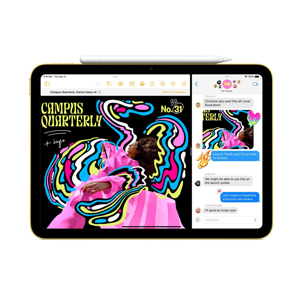 Apple iPad 10.9" Wi-Fi 64GB - Pink 10th Gen MCMC4HC/A цена и информация | Tahvelarvutid | hansapost.ee