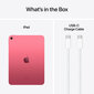 Apple iPad 10.9" Wi-Fi 64GB - Pink 10th Gen MCMC4HC/A цена и информация | Tahvelarvutid | hansapost.ee