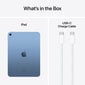 Apple iPad 10.9" Wi-Fi 64GB - Blue 10th Gen MCM84HC/A цена и информация | Tahvelarvutid | hansapost.ee