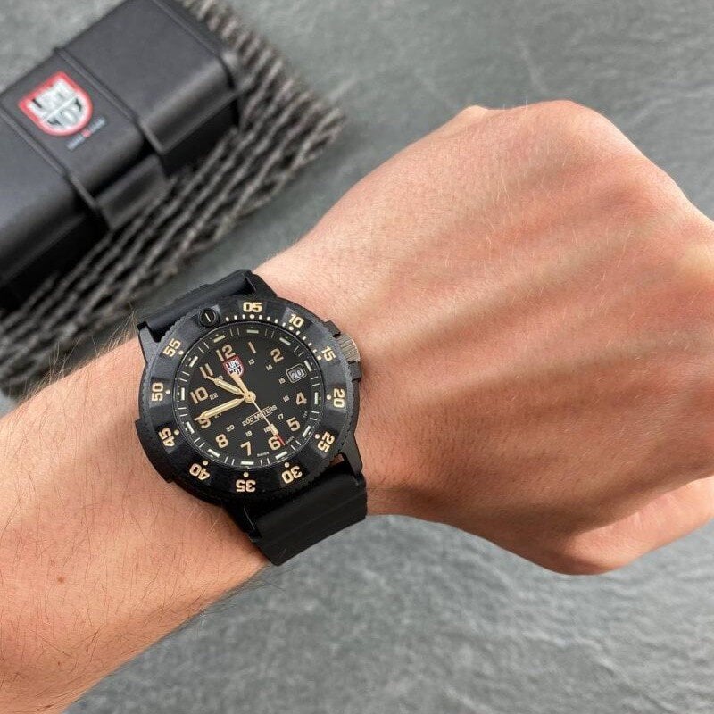 Luminox Original Navy SEAL Evo Military Dive XS.3001.EVO.OR цена и информация | Käekellad meestele | hansapost.ee