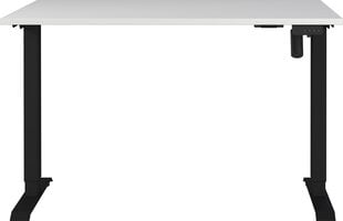 Письменный стол 8022, черного цвета/белого цвета цена и информация | Компьютерные, письменные столы | hansapost.ee