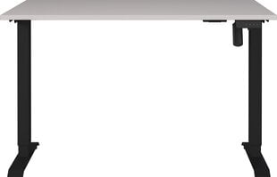 Письменный стол 8022, черного цвета/белого цвета цена и информация | Компьютерные, письменные столы | hansapost.ee