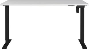 Письменный стол 8023, белого цвета/черного цвета цена и информация | Компьютерные, письменные столы | hansapost.ee