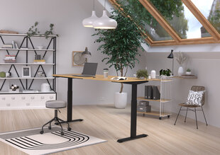 Kirjutuslaud 7909, pruun/must price and information | Computer desks, writing desks | hansapost.ee