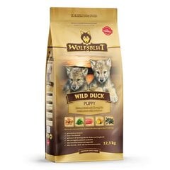 Wolfsblut Wild Duck Щенок с уткой и картофелем, 12,5 кг цена и информация | Сухой корм для собак | hansapost.ee