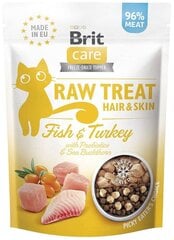 Brit Care Raw Treat Hair&Skin с рыбой и индейкой, 40 гр цена и информация | Лакомства для котов | hansapost.ee