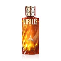 Парфюмированная вода Virilis Paris Corner для мужчин EDP, 100мл цена и информация | Женские духи | hansapost.ee