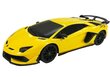 Kaugjuhitav auto Lamborghini Aventador Rastar hind ja info | Mänguasjad poistele | hansapost.ee