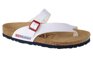 Naiste plätud Inny GNW20415-34, valge price and information | Flip flops and slippers for women | hansapost.ee