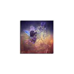 Reproduktsioon Liblikad ja lilled цена и информация | Репродукции, картины | hansapost.ee