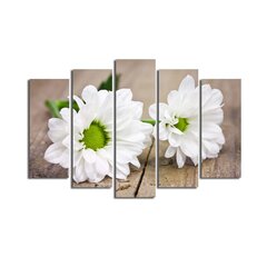 Репродукция из пяти частей Белые цветы цена и информация | Настенные деревянные декорации | hansapost.ee