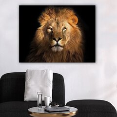 Reproduktsioon Lõvi hind ja info | Seinapildid | hansapost.ee