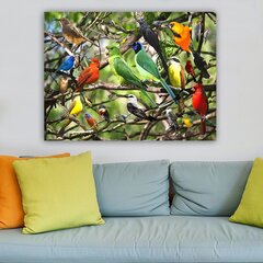 Pilt Papagoid hind ja info | Seinapildid | hansapost.ee