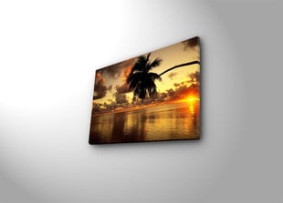 Репродукция Пальма, море, закат цена и информация | Репродукции, картины | hansapost.ee
