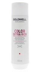 Šampūnas dažytiems Goldwell Color Extra Rich Brilliance Shampoo 250ml цена и информация | Шампуни | hansapost.ee