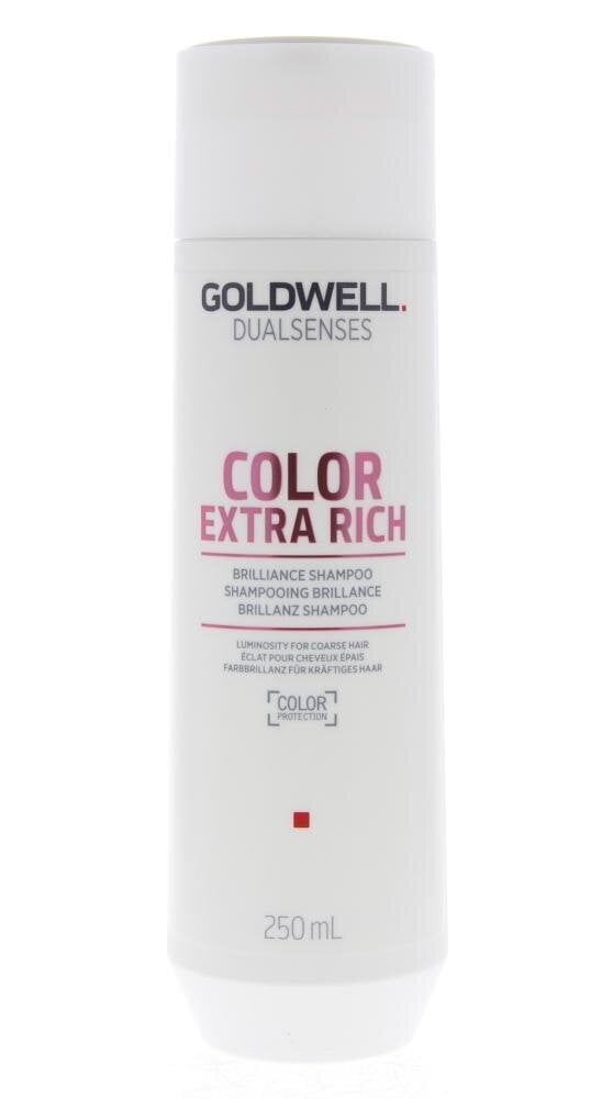 Šampoon värvitud juustele Goldwell Color Extra Rich Brilliance Shampoo 250ml цена и информация | Šampoonid | hansapost.ee