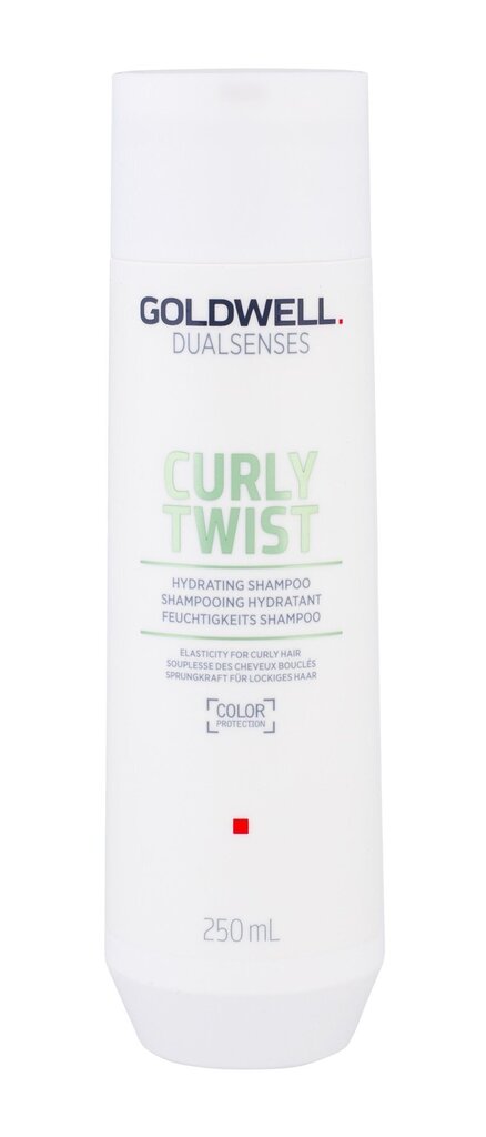 Šampoon Goldwell Dualsenses Curly Twist naistele 250 ml цена и информация | Šampoonid | hansapost.ee