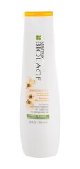 Biolage Silendav šampoon paksudele ja särisevatele juustele Biolage SmoothProof (šampoon) 250 ml price and information | Shampoos | hansapost.ee