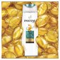 Šampoon rasustele juustele Pantene Fine Aqua Light 400 ml hind ja info | Šampoonid | hansapost.ee