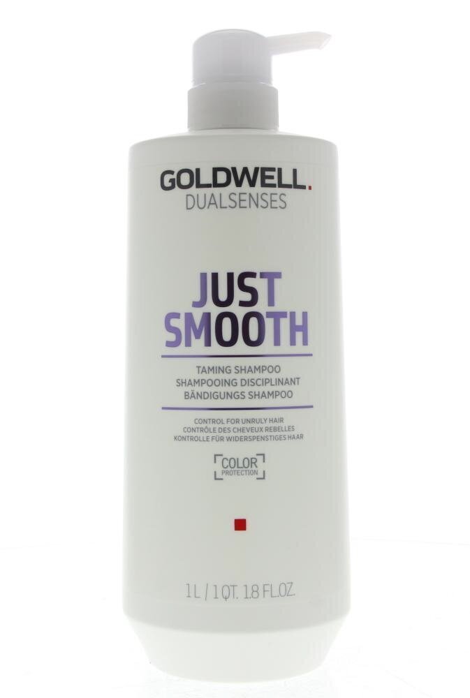 Šampoon taltsutamatutele juustele Goldwell Just Smooth Taming Shampoo 1000ml цена и информация | Šampoonid | hansapost.ee