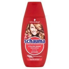 Shampoo Color Shine (Šampoon) 400 ml hind ja info | Šampoonid | hansapost.ee
