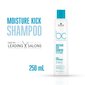 Niisutav mitsellaaršampoon Schwarzkopf Professional BC Hyaluronic 250 ml цена и информация | Šampoonid | hansapost.ee