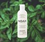 Puhastav kõõmavastane šampoon Noah 250 ml цена и информация | Šampoonid | hansapost.ee