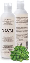 Puhastav kõõmavastane šampoon Noah 250 ml price and information | Šampoonid | hansapost.ee