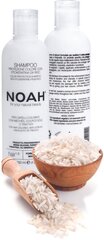 Värvi kaitse šampoon värvitud, triibutatud ja värvilistele juustele Noah 250 ml цена и информация | Шампуни | hansapost.ee
