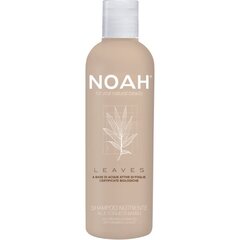 Toitev šampoon bambuse lehtedega Noah 250 ml hind ja info | Šampoonid | hansapost.ee
