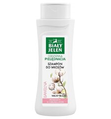 Šampoon kuivadele juustele Bialy Jelen Bawełna 300 ml hind ja info | Šampoonid | hansapost.ee