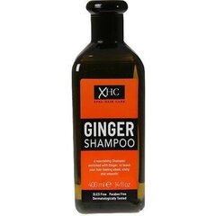 Kõõmavastane šampoon Xpel XHC Ginger Anti-Dandruff, 400 ml hind ja info | Šampoonid | hansapost.ee