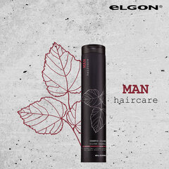 Šampoon hallide juustega meestele Elgon Man Silver 250 ml hind ja info | Šampoonid | hansapost.ee