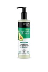 Taastav juuksepalsam Organic Shop Organic, 280 ml hind ja info | Palsamid | hansapost.ee
