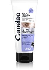 Кондиционер для волос Delia Cosmetics Cameleo Silver 200 мл цена и информация | Бальзамы | hansapost.ee