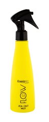 Cпрей для волос с морской солью Stapiz Flow 3D 250 мл цена и информация | Средства для укладки | hansapost.ee